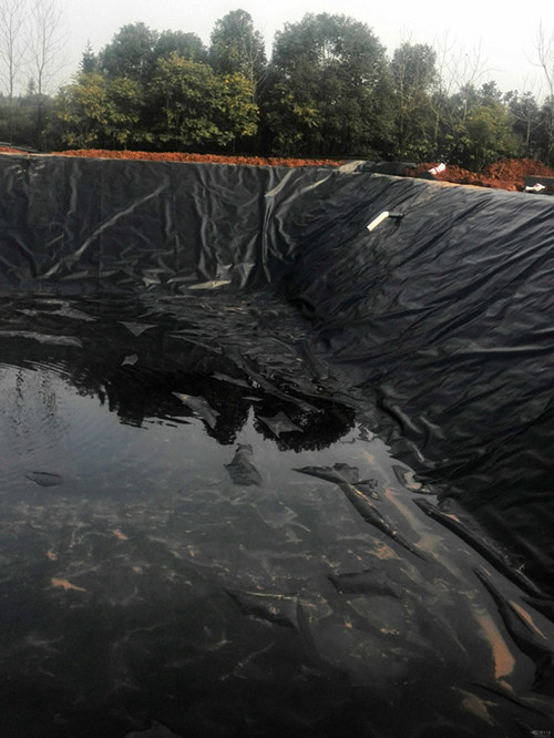水庫防滲材料土工膜和防水毯那個效果好