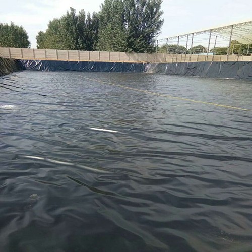 淡水魚養(yǎng)殖池塘防滲好幫手—防滲膜