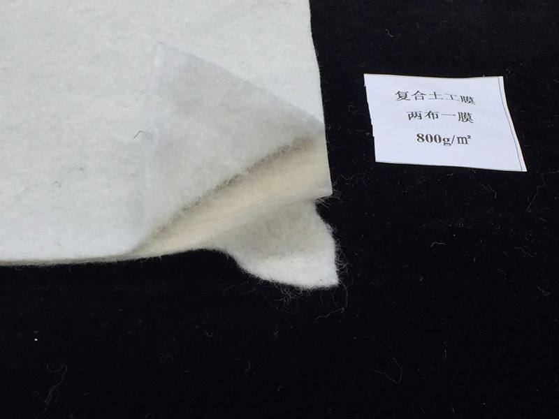 復(fù)合土工膜在水利工程行業(yè)施工案例